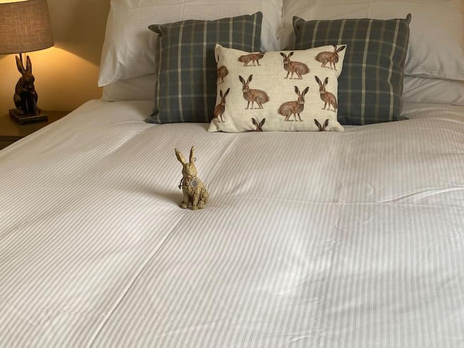 The Burrow, Langholm, Dumfries And Galloway Εξωτερικό φωτογραφία